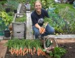 Carrots in a box